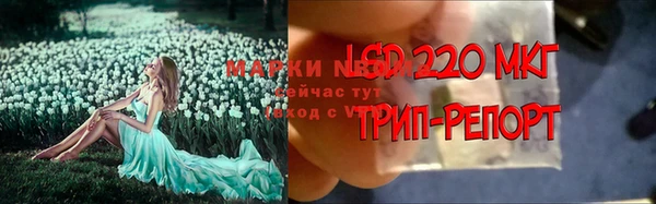 mdpv Беломорск