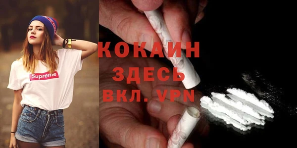 кокс Богородицк