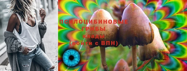 кокс Белокуриха