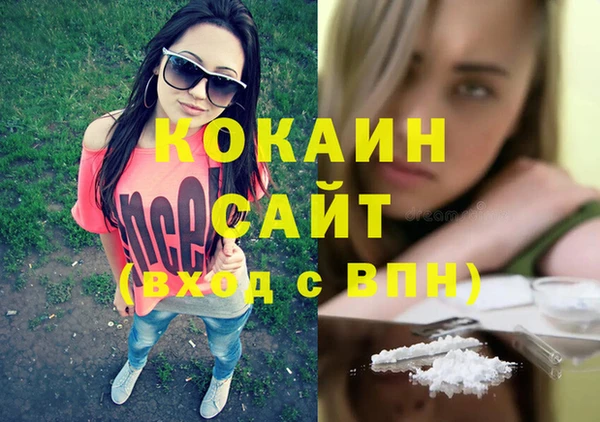 кокс Белокуриха